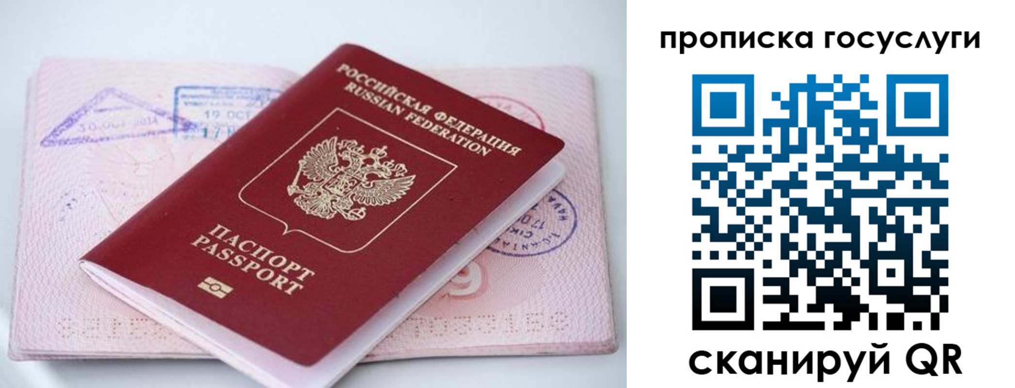 прописка законно в Дальнегорске